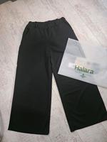 Halara Petite Gr. M Neu Mecklenburg-Vorpommern - Stralsund Vorschau