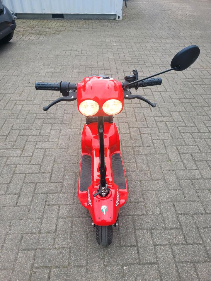 E Roller Charly, Elektroroller Scooter mit LIFEPO4 Akku, MZ in Celle