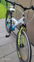 Kettler  Fahrrad zu Verkaufen Bielefeld - Senne Vorschau