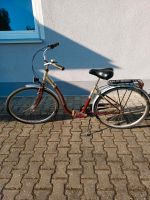 Göricke Damenfahrrad mit Tiefeneinstieg Bayern - Niederalteich Vorschau