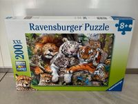 Puzzle Tiger Löwe Leopard Ravensburger 200 Teile Brandenburg - Rathenow Vorschau