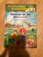 Buch Das magische Baumhaus junior  Abenteuer bei den Dinos Düsseldorf - Bilk Vorschau