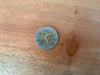 2 Euro Münze Athen 2004 Olympia Baden-Württemberg - Gingen an der Fils Vorschau