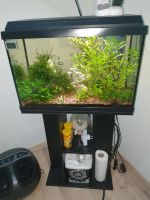 Juwel aquarium 70 liter Hessen - Reichelsheim (Odenwald) Vorschau