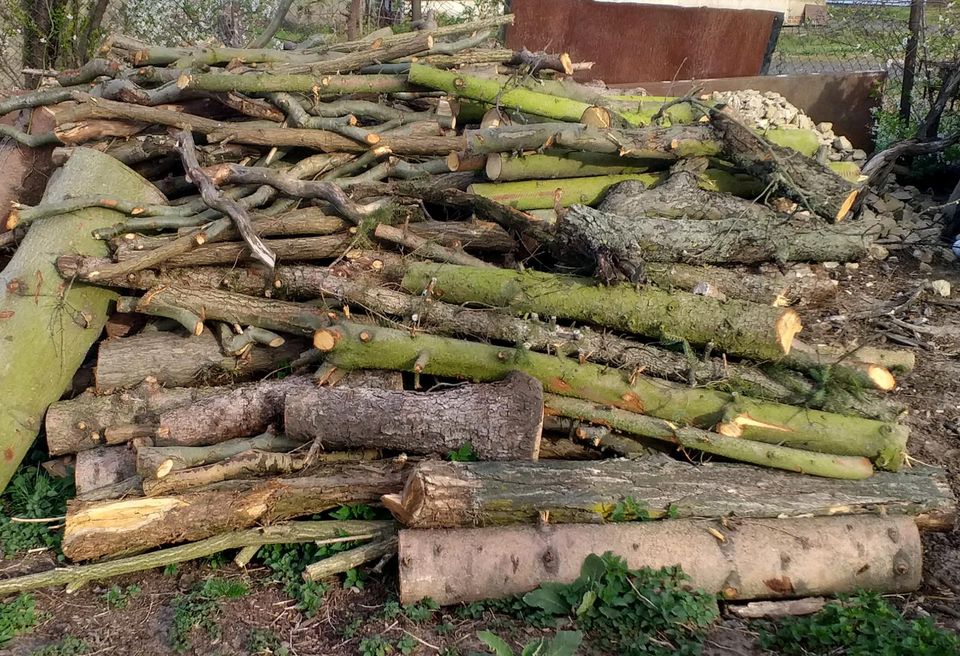 Brennholz zu verkaufen in Drebkau