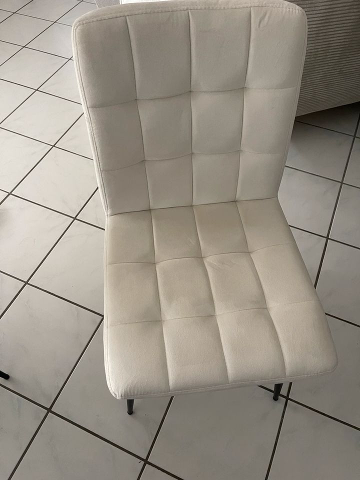Weiße/creme farbene Stühle mit Lehne in Nürtingen