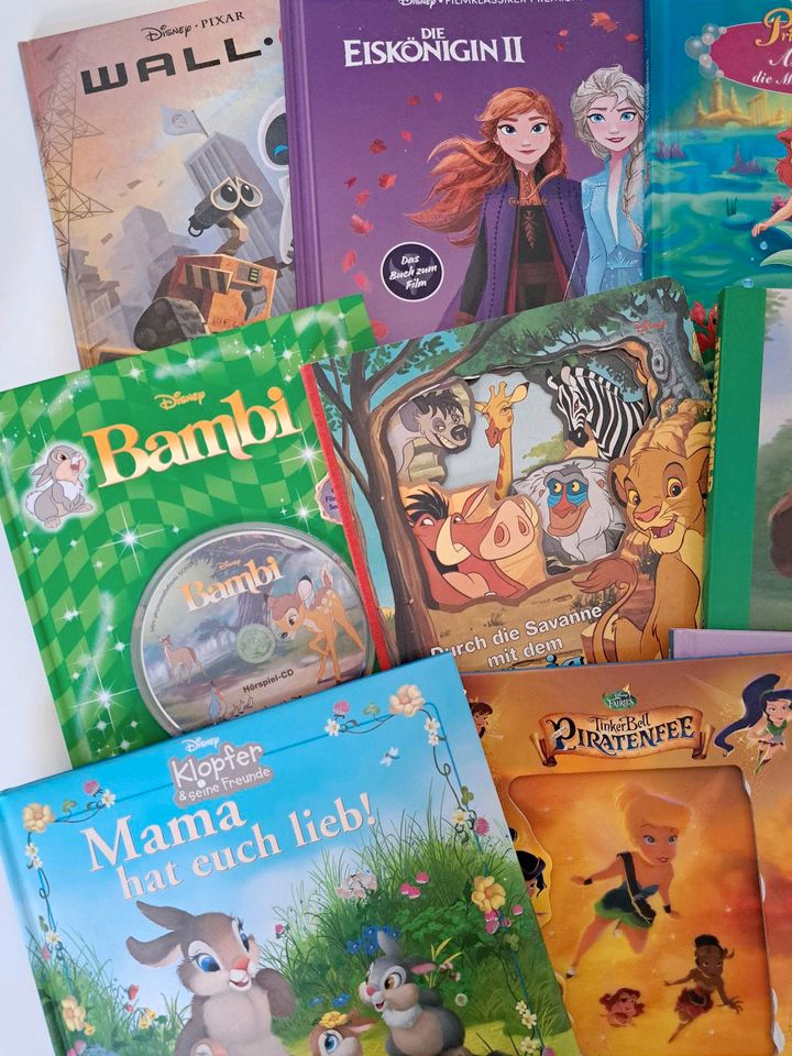 Walt Disney Bücherpaket in Wismar