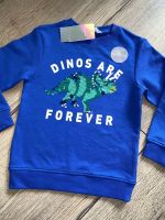 H&M cooles Sweatshirt Wendepailetten Dinosaurier in 110-116 Nordrhein-Westfalen - Siegburg Vorschau