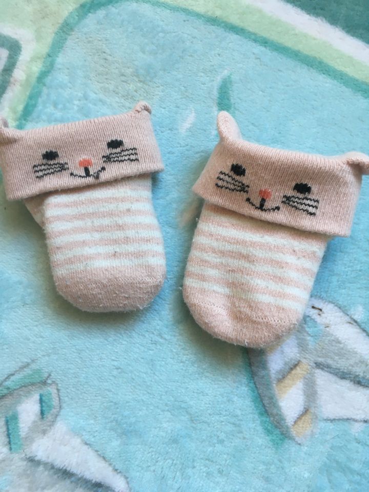 Set Baby Mädchen h&m Katze Blümchen Body Hose Mütze Socken bio 56 in Berlin