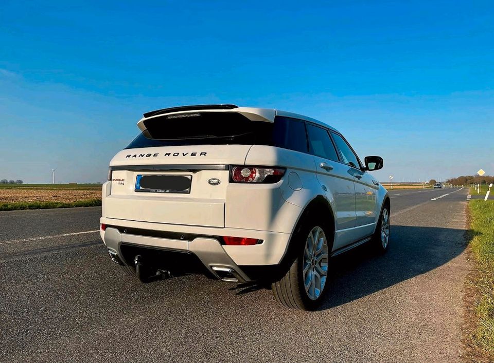 Range Rover Evoque 2.2 SD4 Dynamic. in Flörsheim am Main