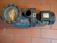 Poolpumpe Super-Pump 14 swim-tec 0,97 kW Pumpe Brandenburg - Stahnsdorf Vorschau