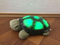 Nachtlicht Schildkröte mit wechselnden Licht von cloud b Sachsen-Anhalt - Köthen (Anhalt) Vorschau