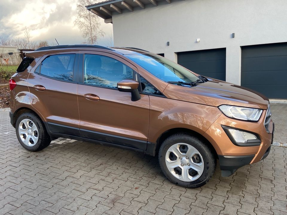 Ford EcoSport in Pemfling