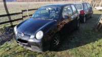 Schlachtfest VW Lupo 3L Teile Ersatzteile Nordrhein-Westfalen - Krefeld Vorschau