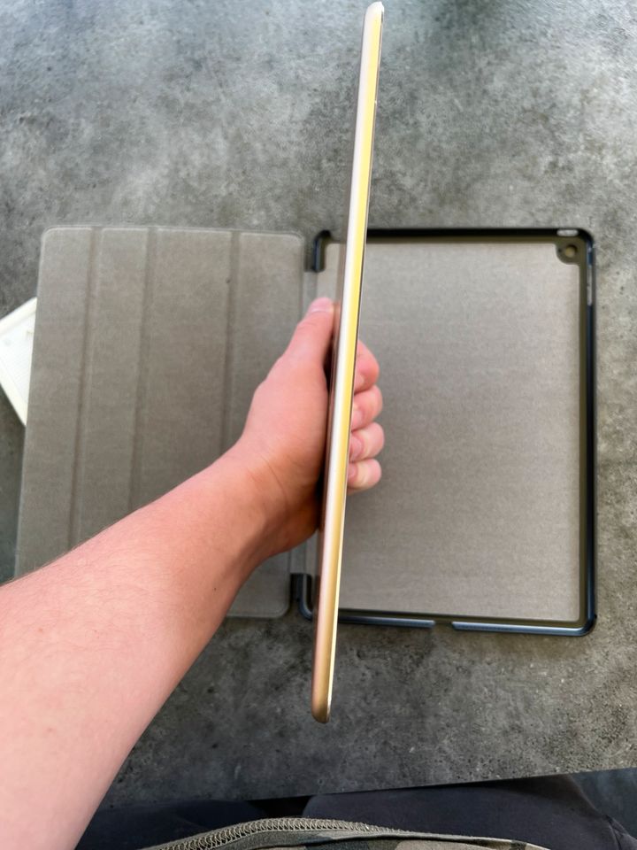 iPad Air 2 Gold 16 GB in Hersbruck