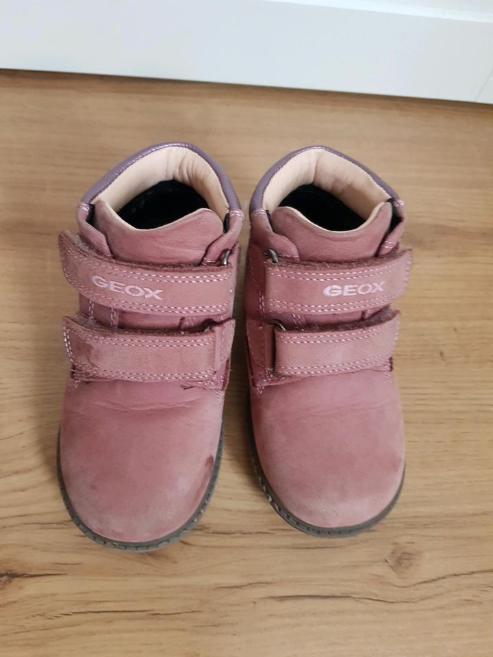 Kinderschuhe Geox Babyschuhe Stiefel Stifeletten Winterschuhe in Gevelsberg