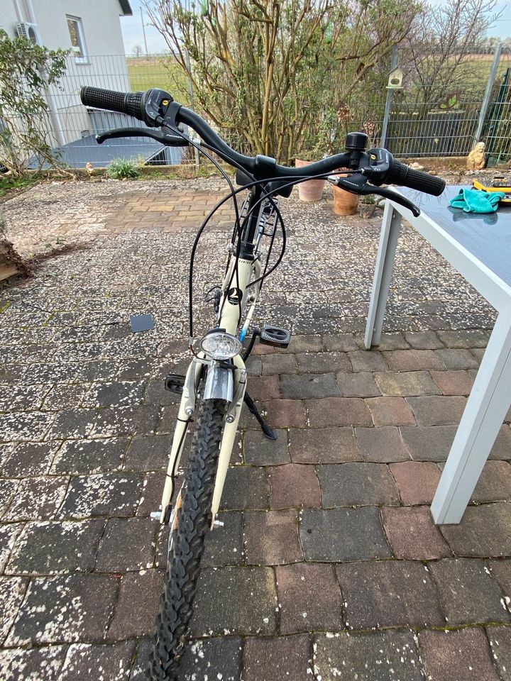 Mädchenfahrrad „Lombardo“ 26 Zoll in Undenheim