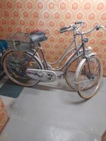 Vintage Fahrräder Hessen - Hainburg Vorschau