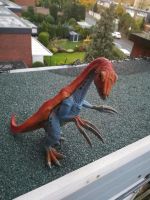 DINO von Schleich Köln - Rondorf Vorschau