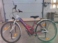 Verkaufe 24" Mädchen Kinderfahrrad Sachsen - Großenhain Vorschau