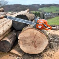 Brennholz Stammholz Wertholz Eiche Buche Laub und Nadelholz Nordrhein-Westfalen - Morsbach Vorschau