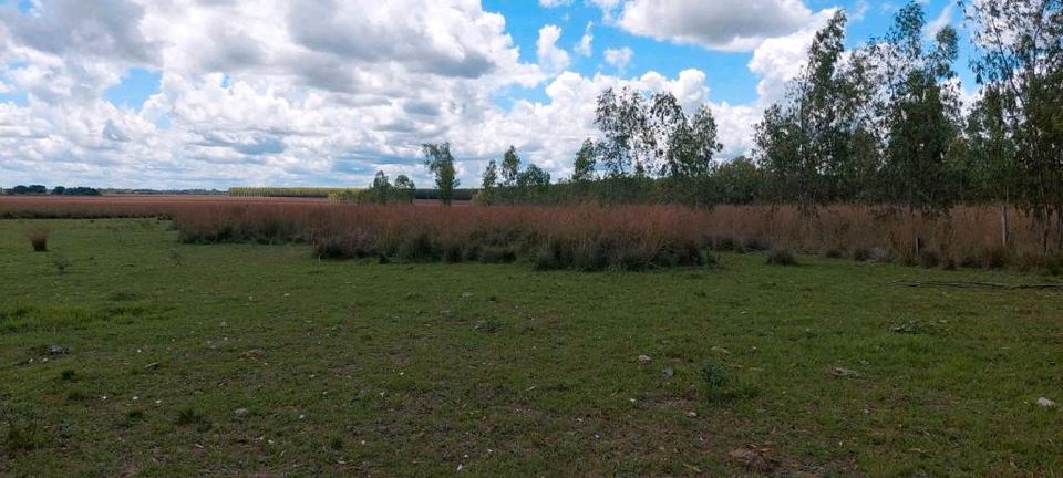 Grundstück mit 10,75 Hektar in Yatayty del Guaira Paraguay in Burkhardtsdorf