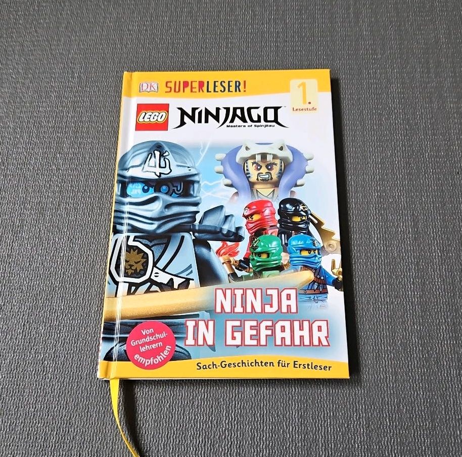 Ninjago Buch Erstleser Lesestufe 1 Lego Superleser ninja Gefahr in Bayern -  Bischofsmais | eBay Kleinanzeigen ist jetzt Kleinanzeigen