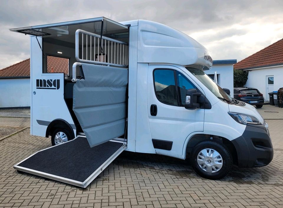 Pferdetransporter für 2 Pferde mit viel Nutzlast 3500kg MSG 2-er in Göttingen