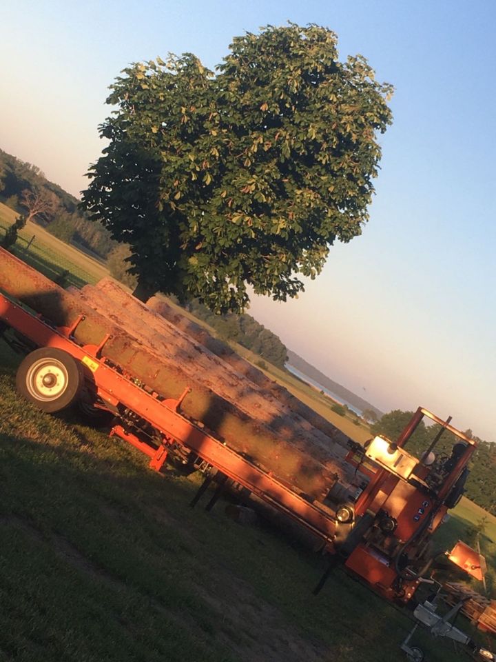 mobiles Sägewerk, Bauholzverkauf in Anklam