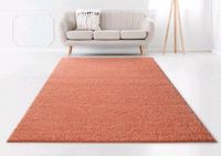 NEU Hochflor-Teppich »Shaggy Soft« Bruno Banani coral 240cm geweb Nordrhein-Westfalen - Rahden Vorschau