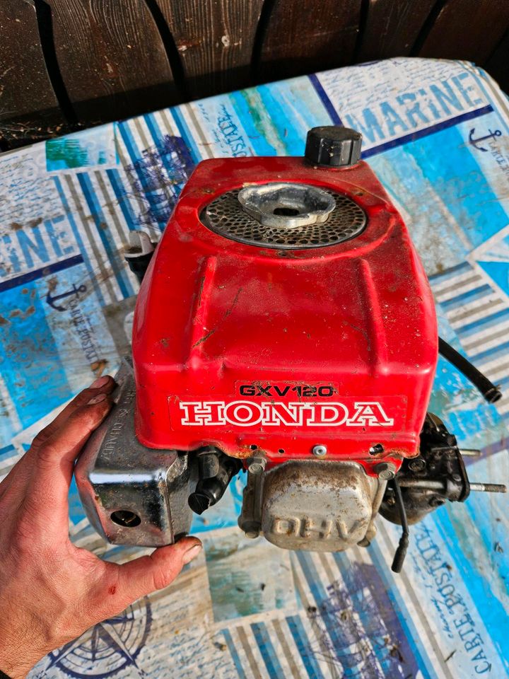Verkaufe Honda Motor als Ersatzteil Spender in Ettlingen
