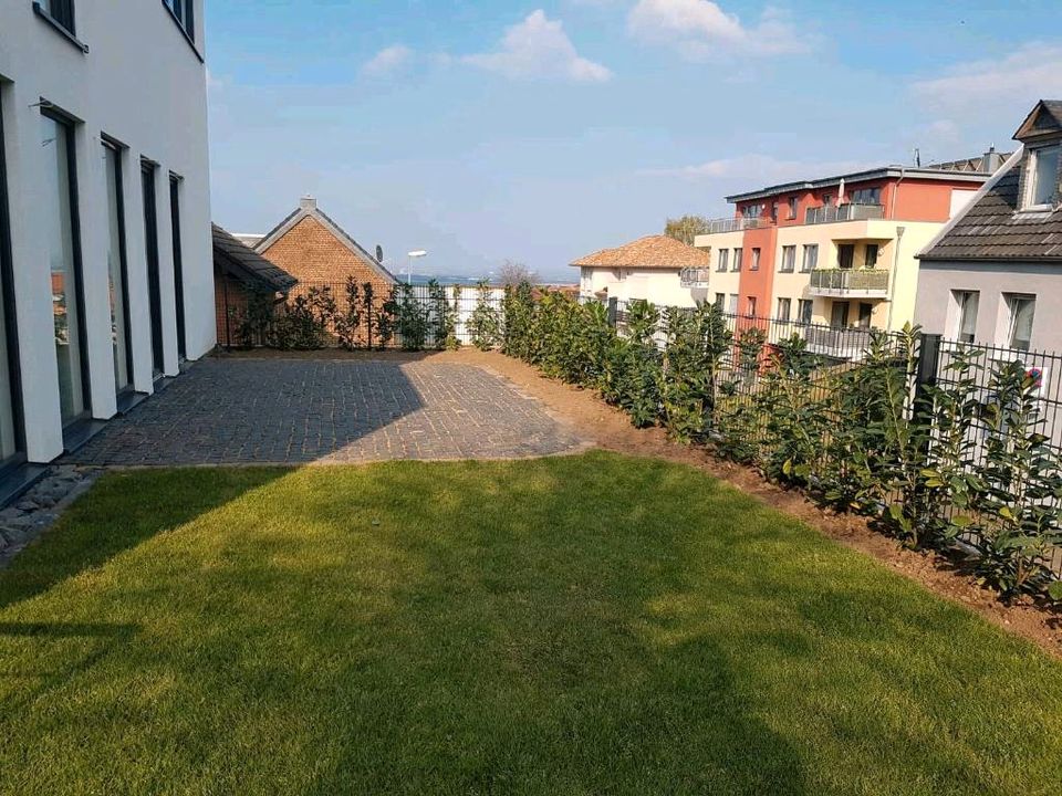 GARTENBAU LANDSCHAFTSBAU PFLASTERN  TROCKENLEGEN  TROCKENMAUERN in Mayen