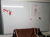 Whiteboard abzugeben Nordrhein-Westfalen - Dorsten Vorschau