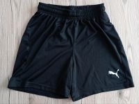 Puma DRYCELL Sporthose Shorts Gr. 152 Nordrhein-Westfalen - Marsberg Vorschau