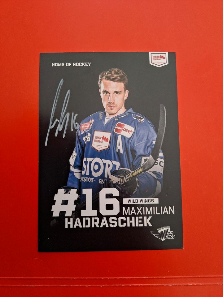 Maximilian Hadraschek SERC - Schwenninger Wild Wings #2 in Meßstetten