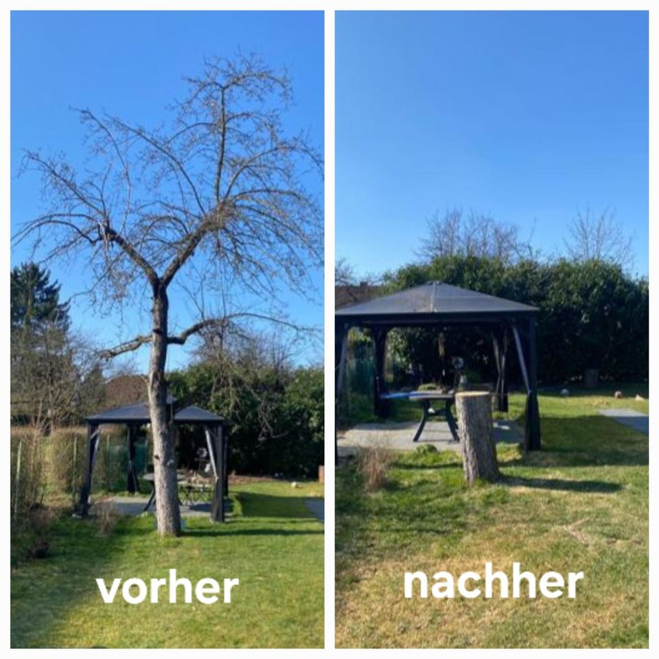Gartenarbeiten / Heckenschneiden / Rasenmähen / Baumfällung in Saarlouis