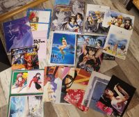 Anime Merchandise Sammlung Clear Poster Ringordner Mangas Kunstdr Nordrhein-Westfalen - Hemer Vorschau