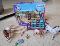 Turnier Training Schleich 42433 Nordrhein-Westfalen - Welver Vorschau