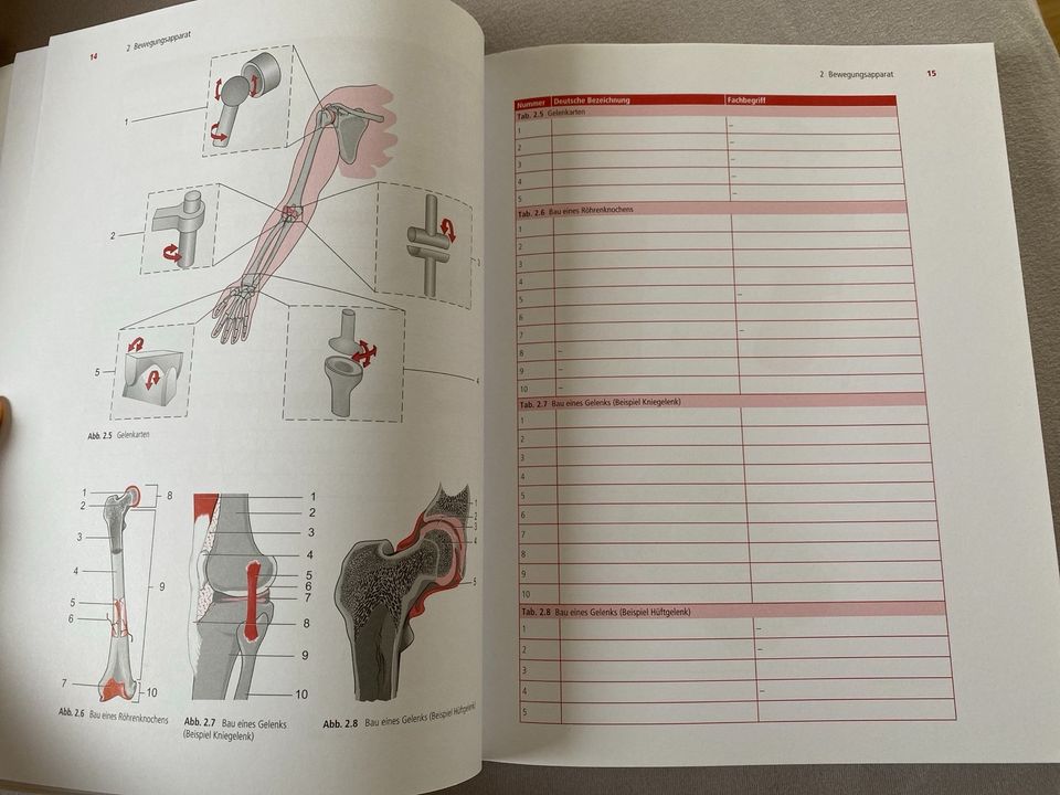 Anatomie zum Lernen durch Beschriften (wie neu) in Karlsruhe