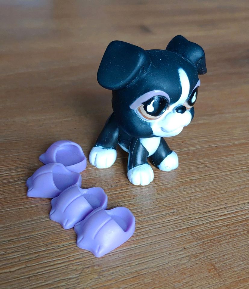 Littlest Pet Shop LPS Spielfigur Hund 1 in Hockenheim