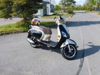 Roller 50 ccm Sym Fiddle 3 wie Vespa defekt Hannover - Südstadt-Bult Vorschau