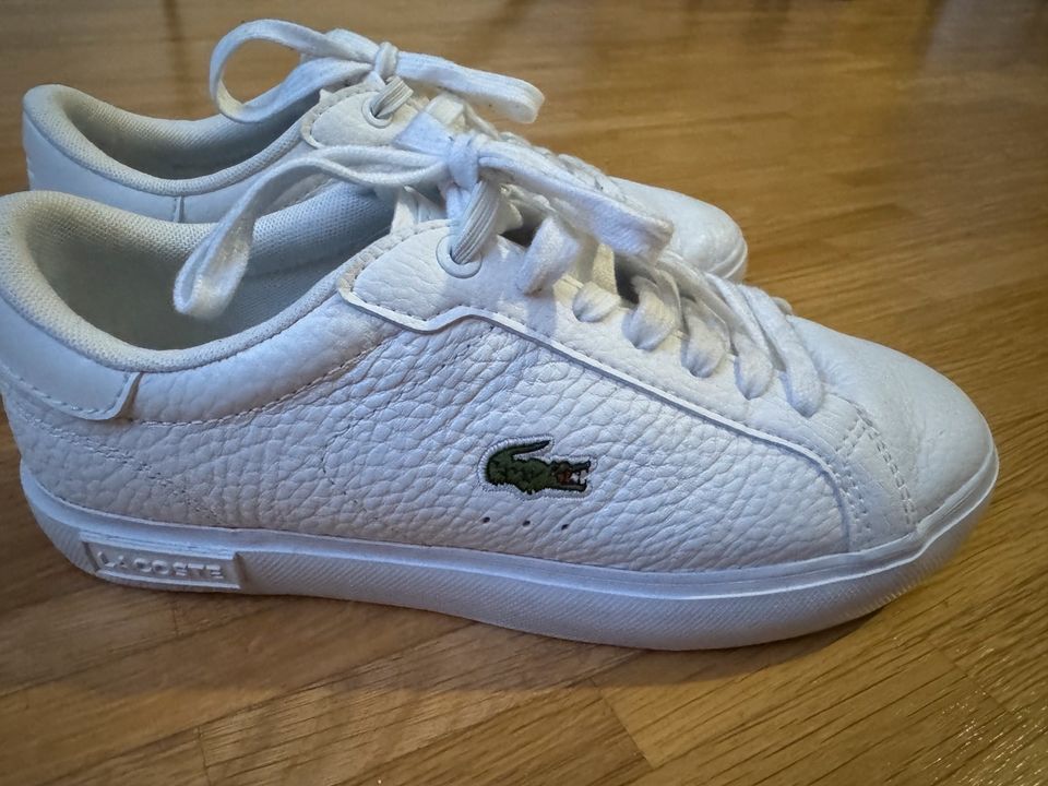 Lacoste Sneaker Größe 35,5 in München