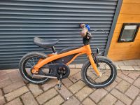 BMW Kidsbike/Laufrad Kinderfahrrad 14 Zoll Thüringen - Großlöbichau Vorschau