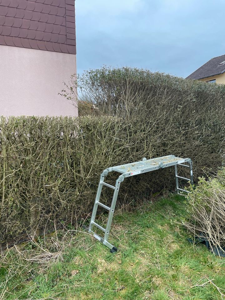 Heckenpflege ist gleich Heckenschnitt. Wir schneiden Ihre Hecke! in Hattorf am Harz