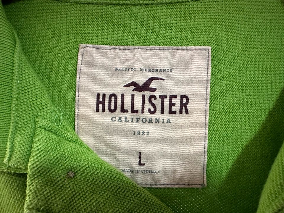 Hollister Poloshirt grün Grösse L in Heidelberg