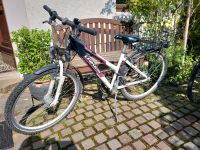 Laken Mountainbike 26" Köln - Ehrenfeld Vorschau