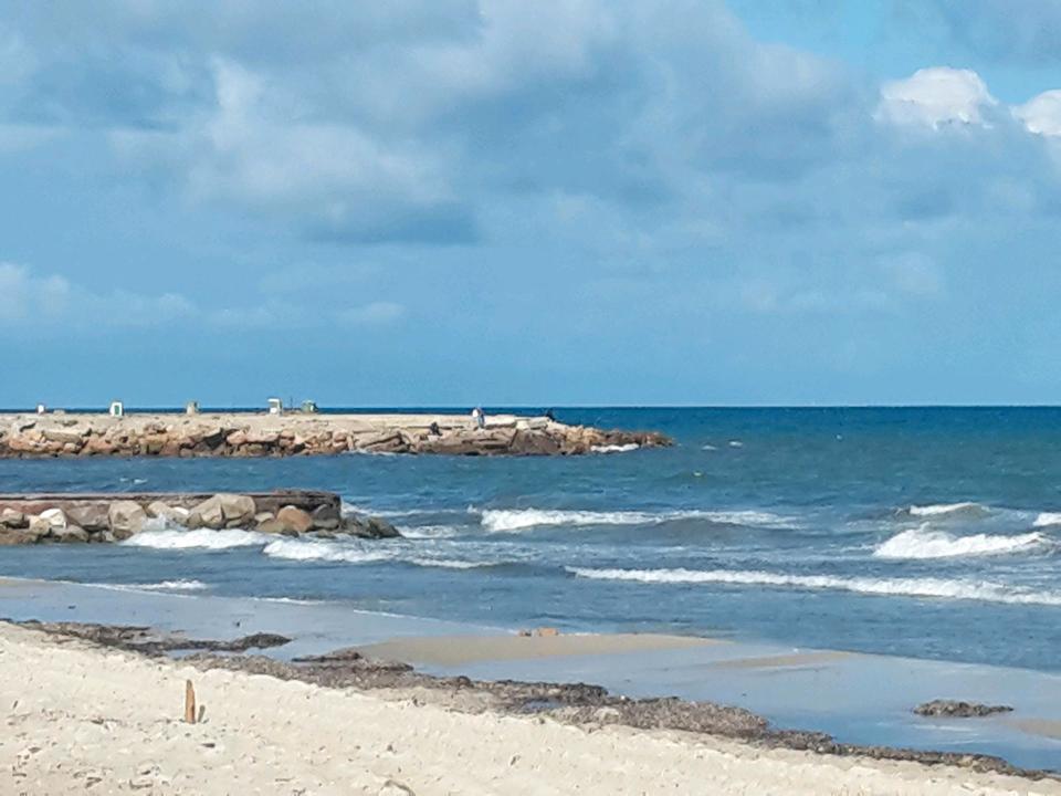 Urlaubsbegleitung Tunesien von ca. 31.10.-ca. 16.11.2025 gesucht in Berlin