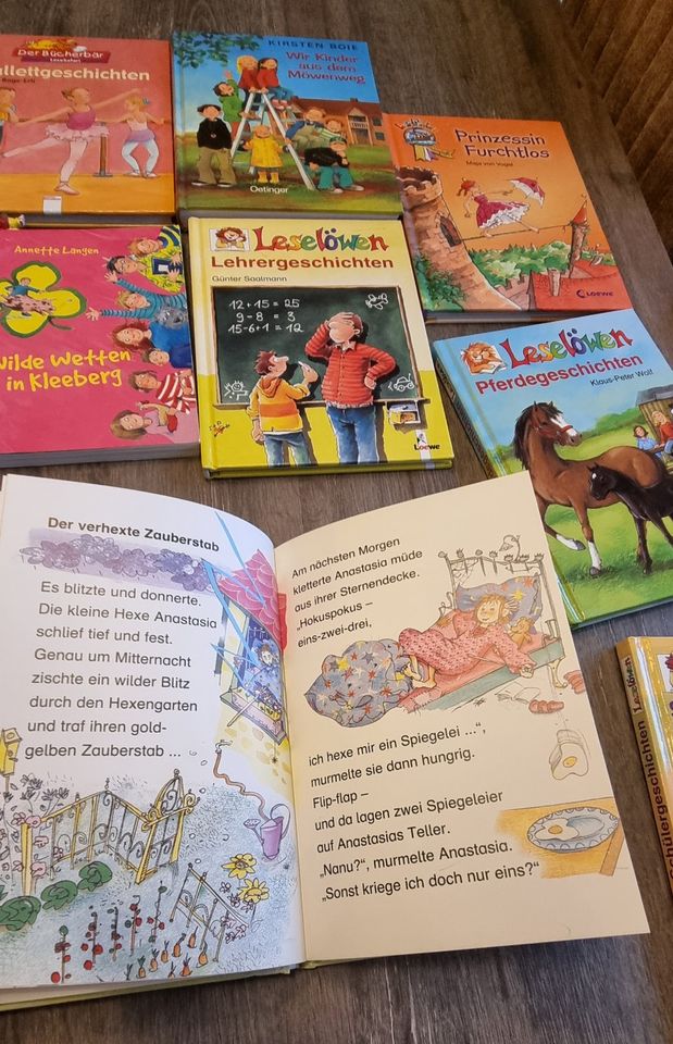 Lesebücher, Leselöwen, Lesepiraten, Kinderbücher in Elmshorn