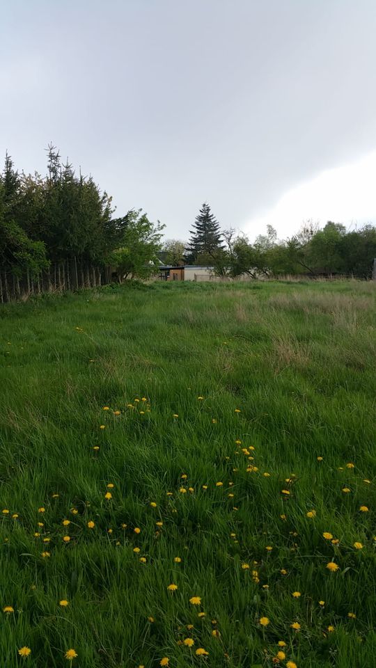 Grünland zur Pacht in Wesenberg als Weide oder Wiese in Wesenberg