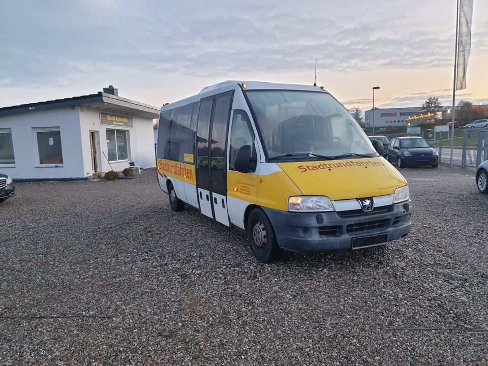 Peugeot 244 Kleinbus  Ernst Auwerter Bus 12 Sitze Tüv 4/2023 in Gägelow